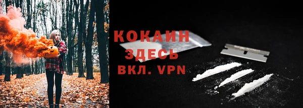 амф Аркадак