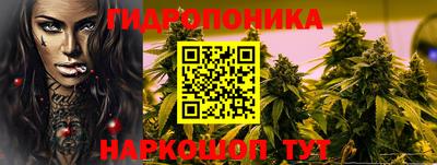 шишки Беслан
