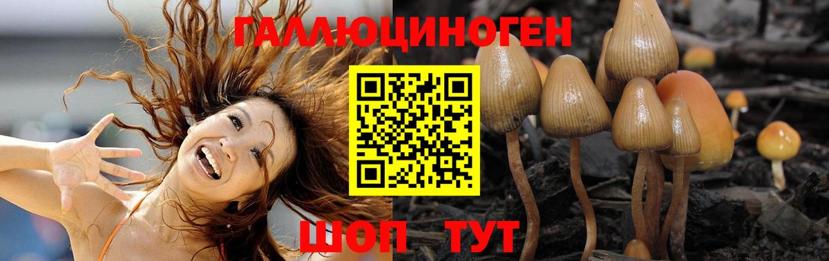 Псилоцибиновые грибы прущие грибы Дмитров