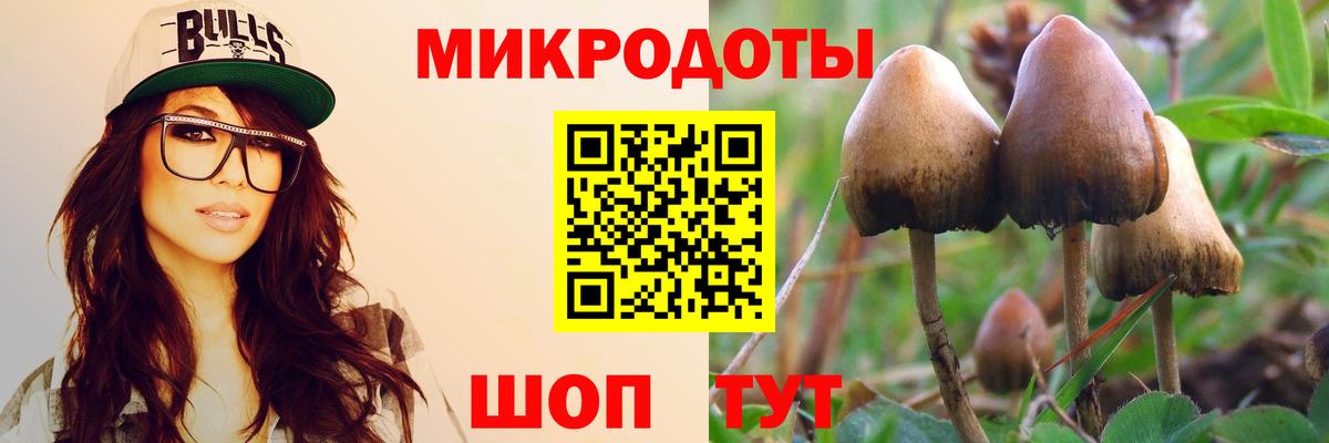 Галлюциногенные грибы Psilocybe  Вход с VPN  Дмитров 